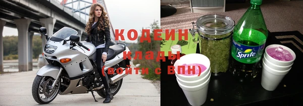 mdpv Бородино