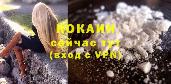 mdpv Бородино