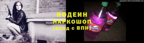 mdpv Бородино