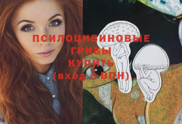 mdpv Бородино