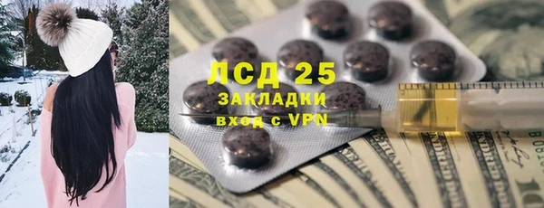 mdpv Бородино