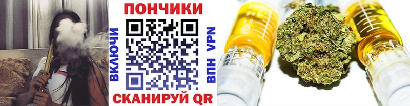 Каннабис MAZAR  Купить где  Нолинск 